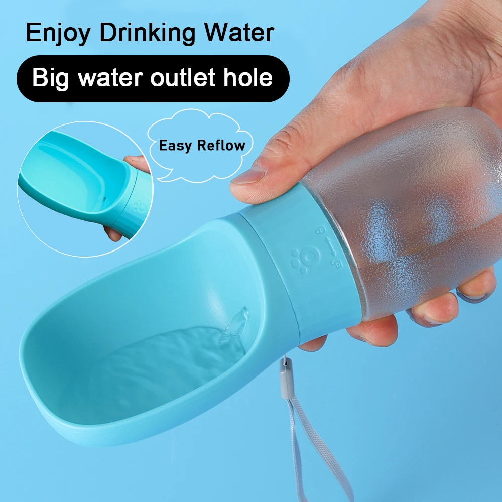 Portable Water Bottle