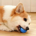 Dog Chew Toy Ball