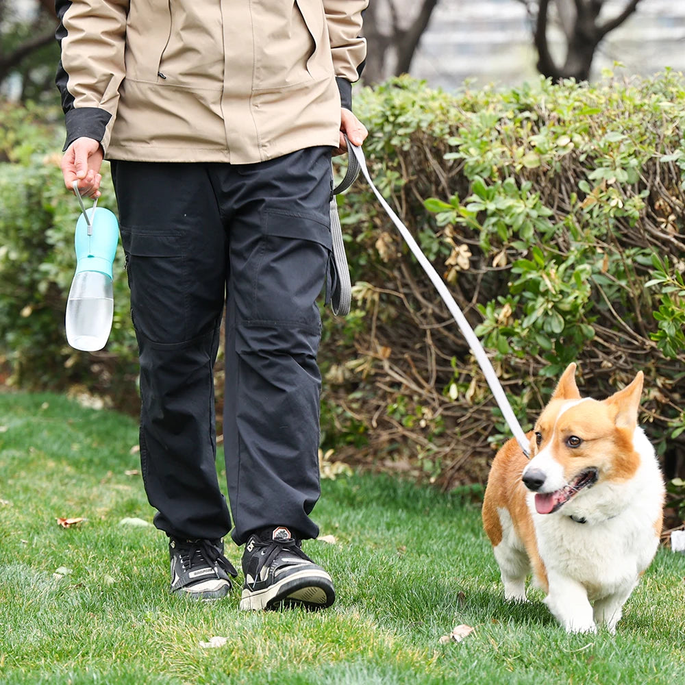 Portable Water Bottle