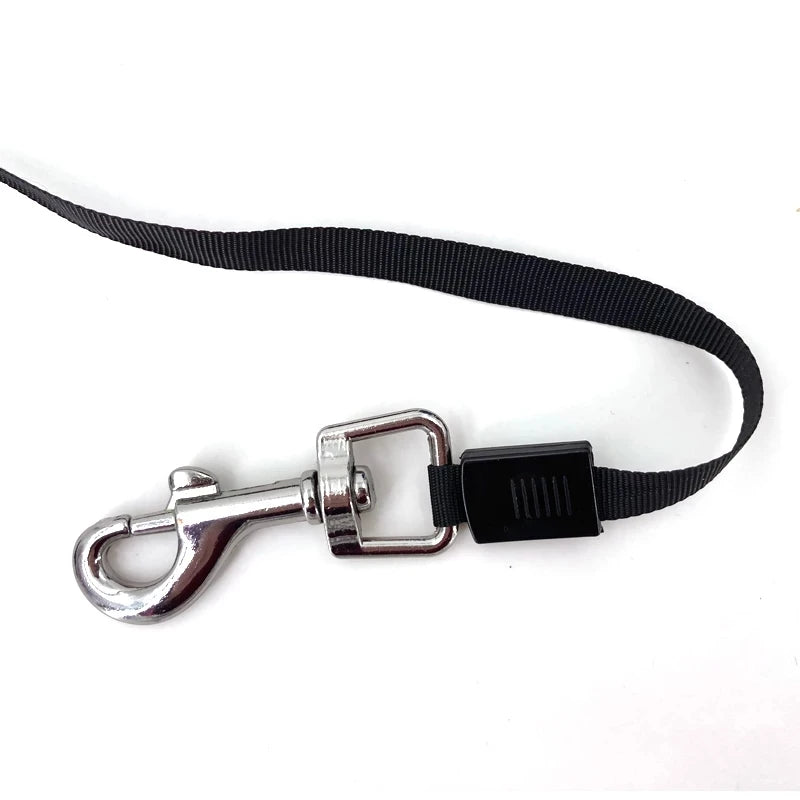 Retractable Leash