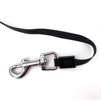 Retractable Leash
